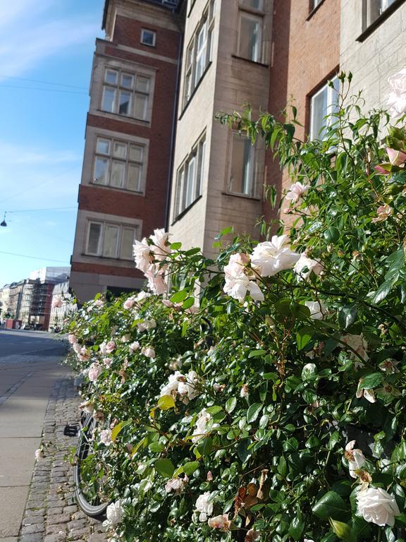 Appartamento Aaboulevard Copenaghen